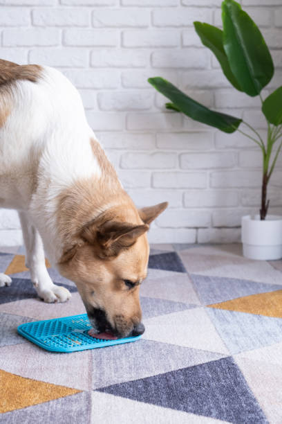 GENORIAL Pet Lick Mat - Slow Feeder Silicone Mat for Anxiety Relief &amp; Bath Time