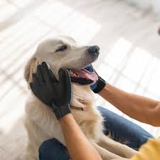 GENORIAL Pet Grooming Glove - Deshedding Massage Glove for Dogs &amp; Cats